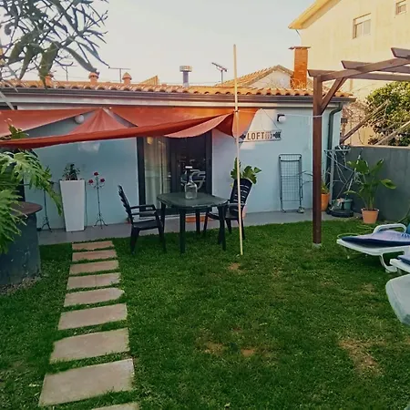 A Sea Loft * Árvore